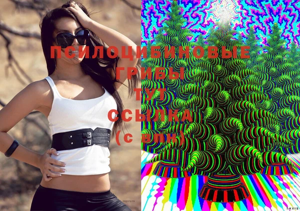 дурь Богданович