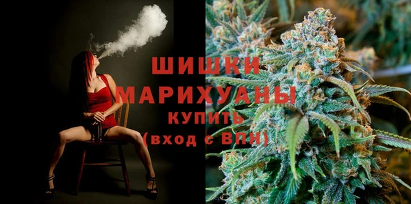 дурь Богданович