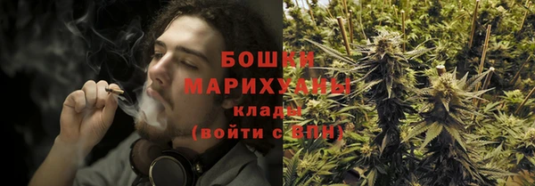 дурь Богданович