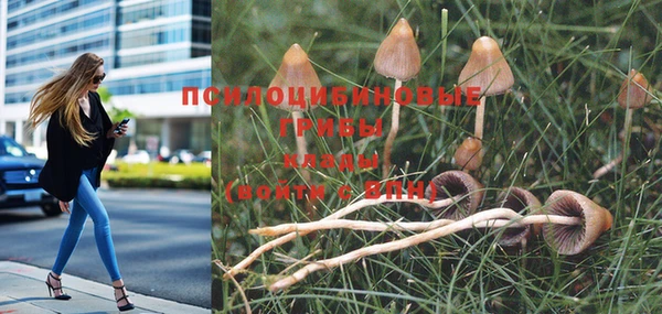 меф VHQ Богородицк