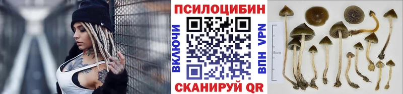 где продают мега вход Псилоцибиновые грибы MAGIC MUSHROOMS Чишмы